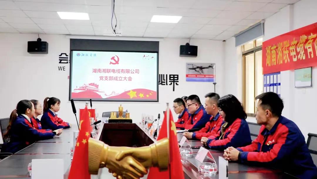新征程 | 熱烈祝賀湖南湘聯(lián)電纜有限公司黨支部正式成立！